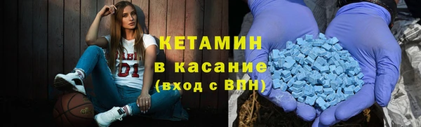 шишки Абаза