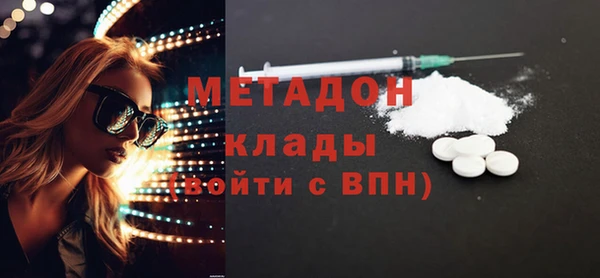 шишки Абаза