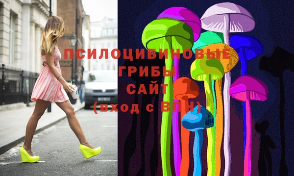 шишки Абаза