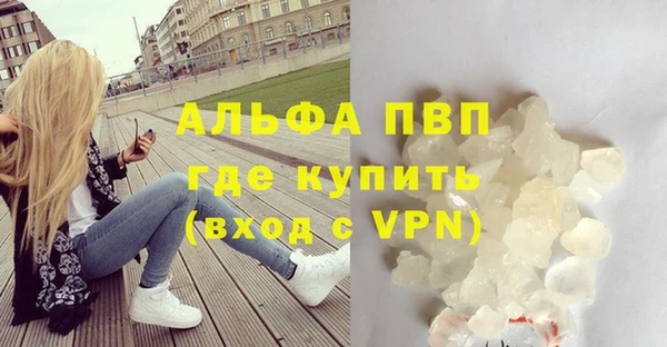 шишки Абаза