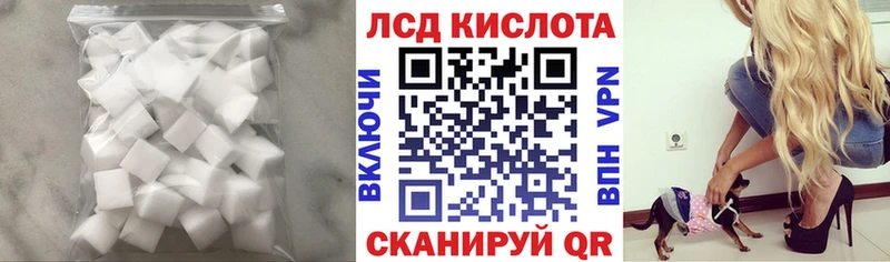 магазин  наркотиков  Каменск-Шахтинский  ЛСД экстази ecstasy 
