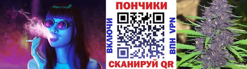 Бошки Шишки индика  купить наркоту  Каменск-Шахтинский 